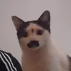 ki_li_i.an