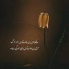 mmahadkhan7