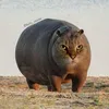 januszdobrodziej