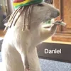 daniel3000machine
