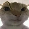 depzais1_hmehme0406