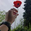 faniheyat23