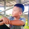 patraphlvi11