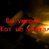 _dimasik_134784