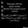 ksindi25