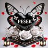 futrypesek