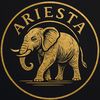 ariesta003