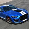 ford_mustang_shelby_gt