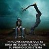 mr.paulcuevas