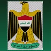 313ali.m1