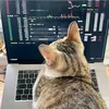 let_him_trade