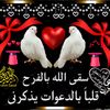 dodoelshereef