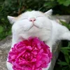 adelina1980mail.ru