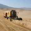 suleyman_sar