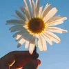 vaniadossantos491