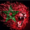 dimamaghreb123456