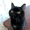 Дания