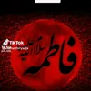 dyet06l3wb6o