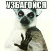 dollabila4827
