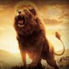 lionkingz01