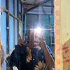 susu_sapi26