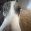 nathanreynolds58