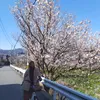ssilviafauzia