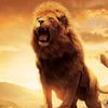 lionman9007