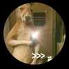 raulvasquez219
