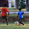 aqif_sp