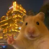 polkidotzz
