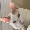 kegehdjdhdgwks12