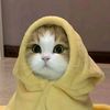 garfshi