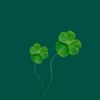 razzaq_345