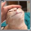 oyen0517