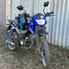 alpha_champ125