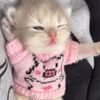 blurberryuwu
