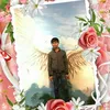 phanloc941994