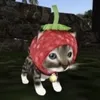 nnnimzy