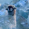 airu_1644