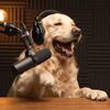 unleashedpodcast