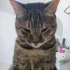 louise_waifu