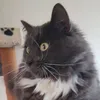 rebeccapruvost