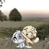 paper_so2
