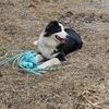 farmerpolly