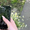 ._z0r6