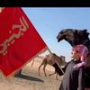 سالم الجـنـيـبـي❤️