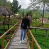 kacung_ongkek