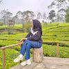riensyastoree