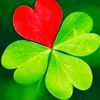 Nadedr